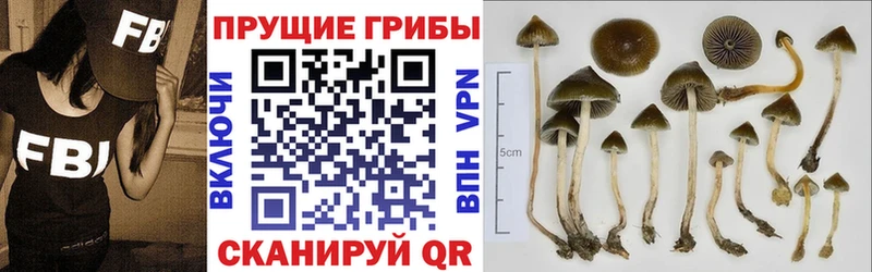 hydra онион Усолье-Сибирское Псилоцибиновые грибы мухоморы цены наркотик